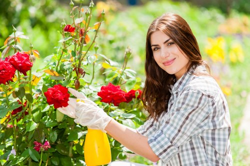 Person using a screen reader to access gardening service information on a device.